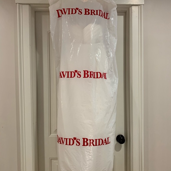 🌿NEW! DAVID’S BRIDAL 2-piece gown. Never worn. - Picture 7 of 8